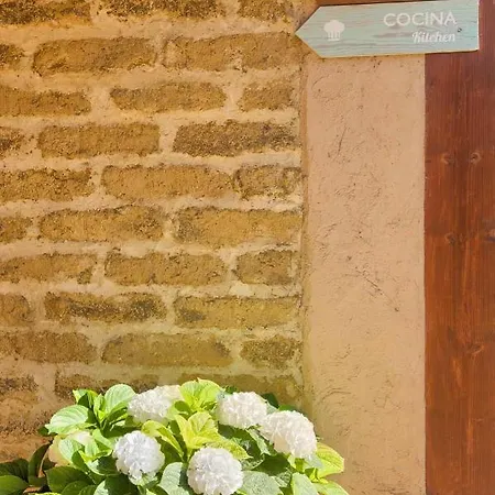 Hostel Lamorena